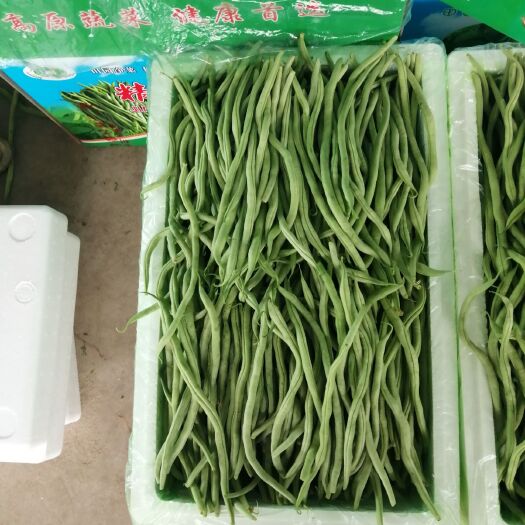 武山县架豆王豆角 架豆王诚信代办，超市，物美价廉，