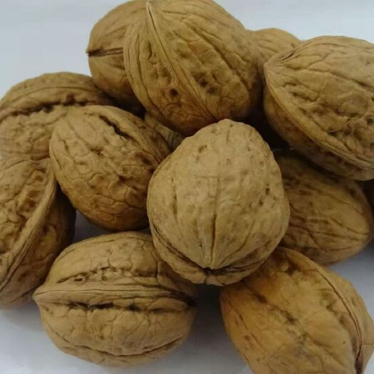 陇南青皮核桃
