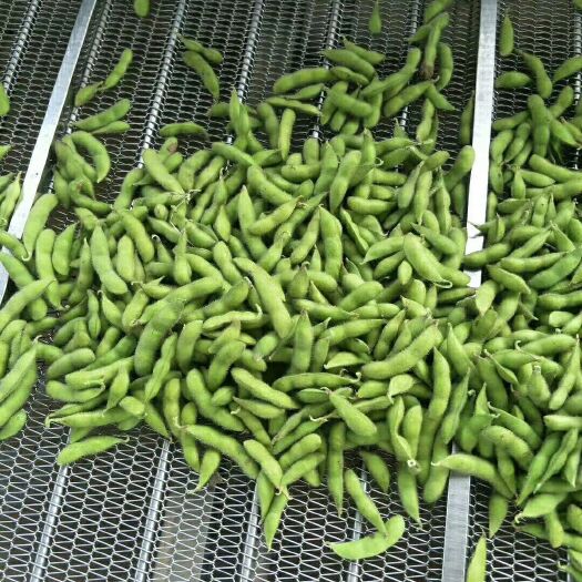 郯城县 翠绿宝毛豆大量上市中
