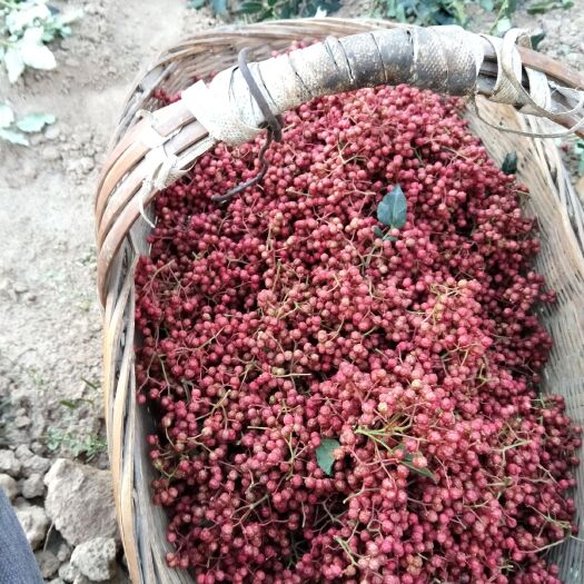 秦安县大红袍花椒 特级 干花椒