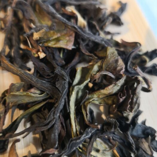郑州高山乌龙茶 有机佳叶龙茶GABA TEA