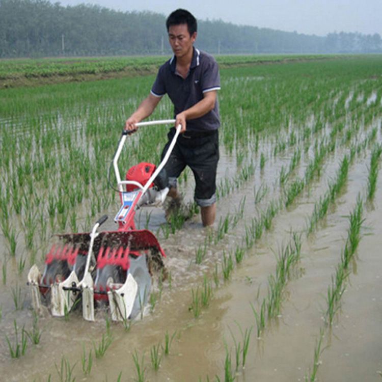  稻田除草机 水田除草机 水田除草用除草机1行2行3行