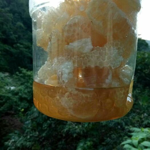 赣州土蜂蜜 深山百花蜜，来自大山的天然原蜜！