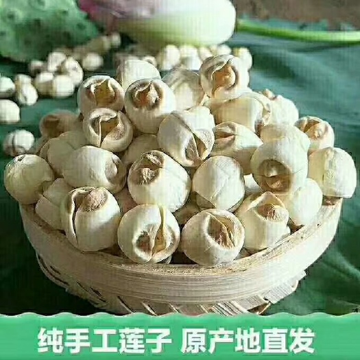 南丰县广昌白莲  广昌白莲子 手工去皮 无熏硫