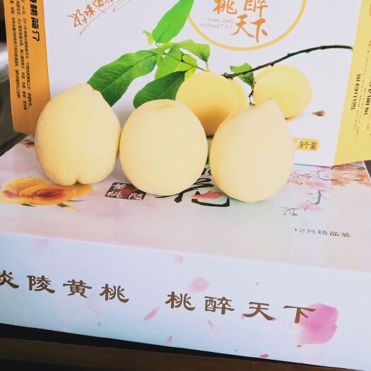 炎陵县 炎陵黄桃，指定产品，送礼佳品
