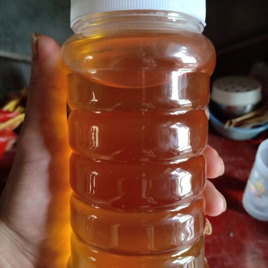 赣州 自产自销散养中华土蜂蜜，一年只收一次成熟蜜