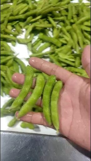 郯城县绿宝石毛豆  翠绿宝，