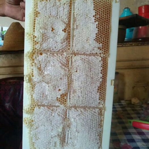 金塔县 的天然土蜂蜜