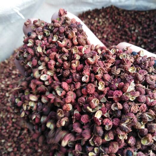 济南 莱芜大红袍花椒