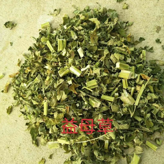 亳州 益母草