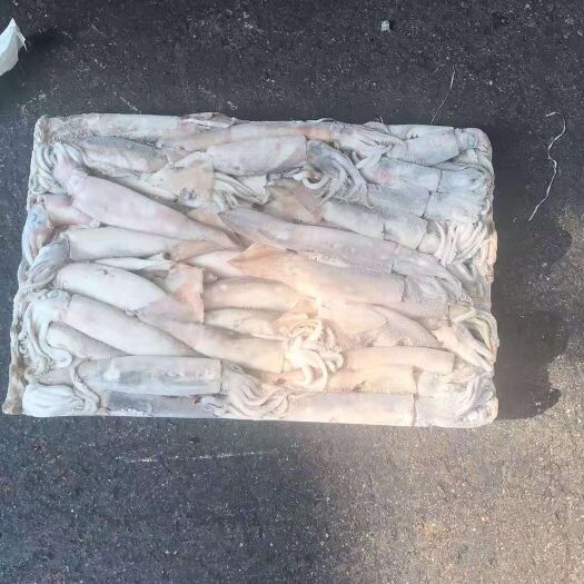 荣成市 冷冻鱿鱼 
每个 150-200克