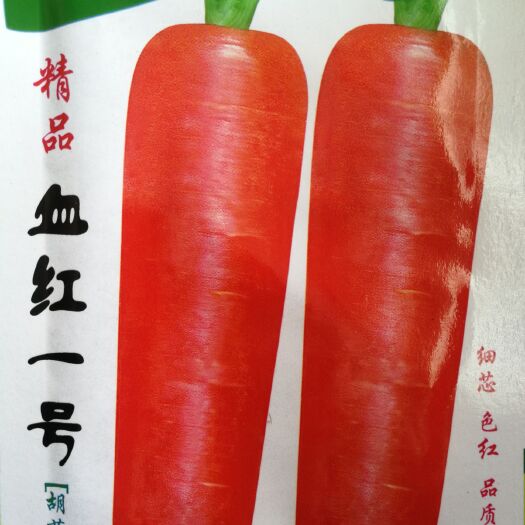 绵阳三红胡萝卜种子  基地专用 三红细心胡萝卜种子