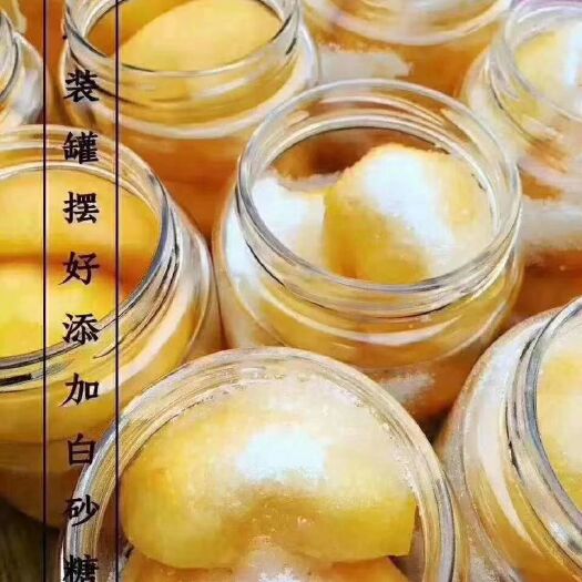 砀山县黄桃罐头 24个月以上