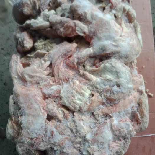 临沂猪下水 护心肉