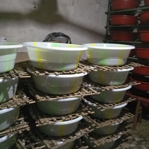 阆中市 土元种卵蛋