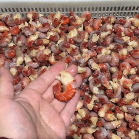 南京香辣龙虾尾 龙虾尾