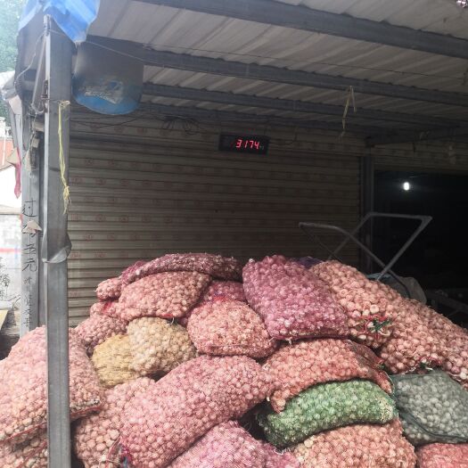 周口 销售各种大蒜，需要的联系