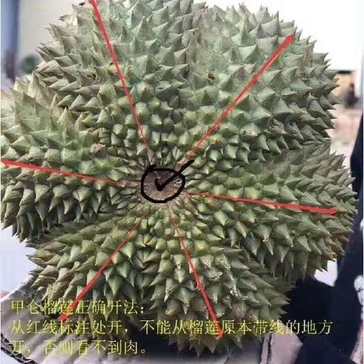 凭祥市泰国甲仑榴莲 泰国甲仑