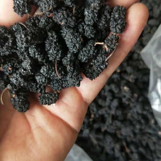 泊头市泡酒，酿酒专用桑葚干