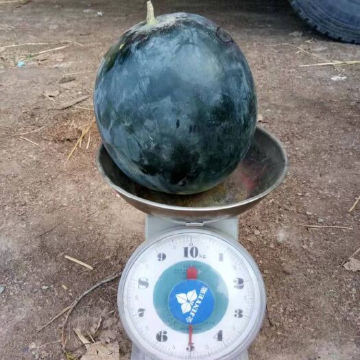 太康县 各种类西瓜，量大 货好，价格低！！！