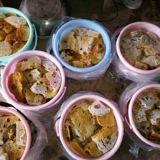 景洪市 云南野生蜂蜜和土蜂蜜假一赔百欢迎订购合作