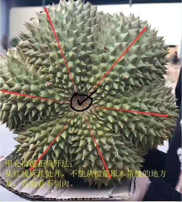 泰国甲仑榴莲 泰国甲仑