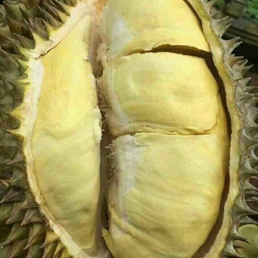 昆明金枕头榴莲 泰国金枕