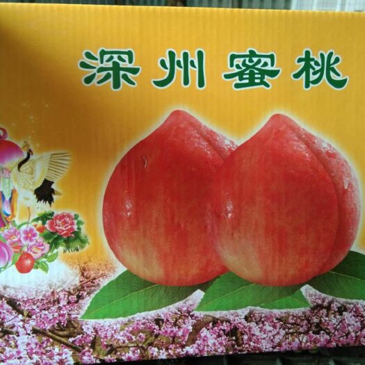 深州市 斤数蜜桃，需要的联系，一合十二个，六个，八个桃，