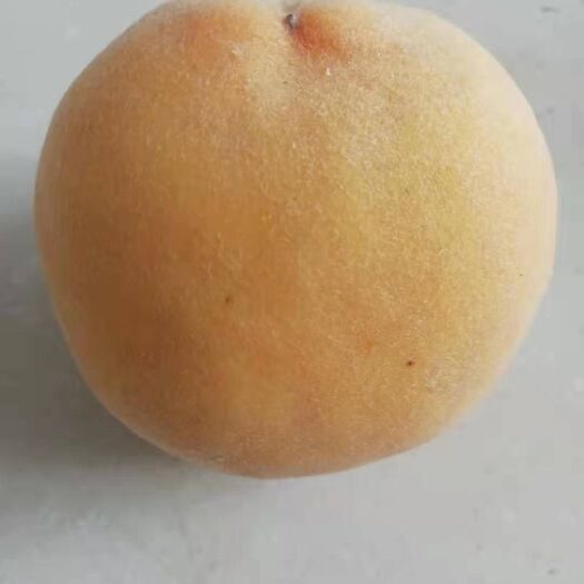 武汉 新鲜黄桃出售