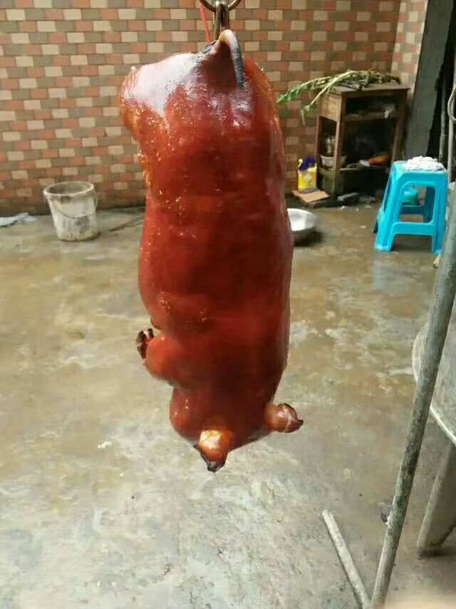 [土猪苗批发]土猪苗 烤乳猪价格428元\/只 1只起