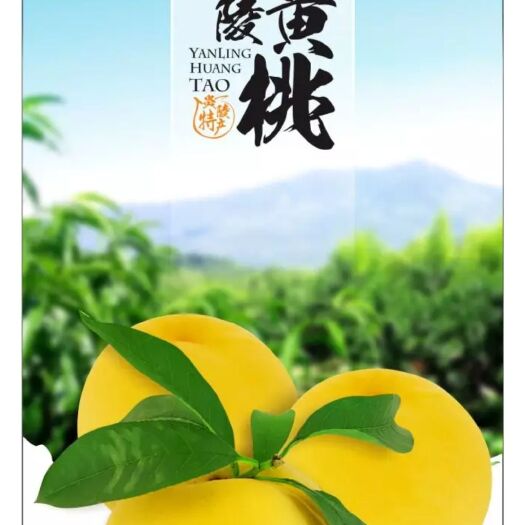 炎陵县 炎陵高山黄桃