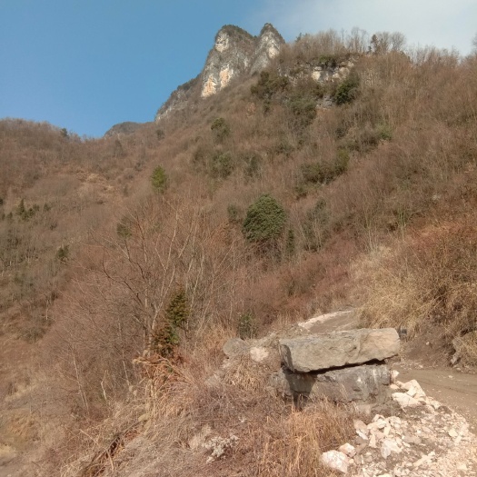 长阳县荒地