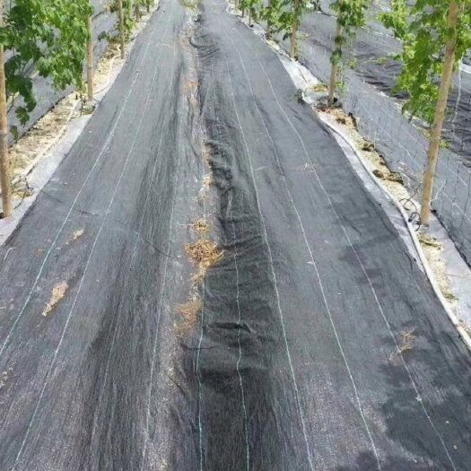德州 果园防草布