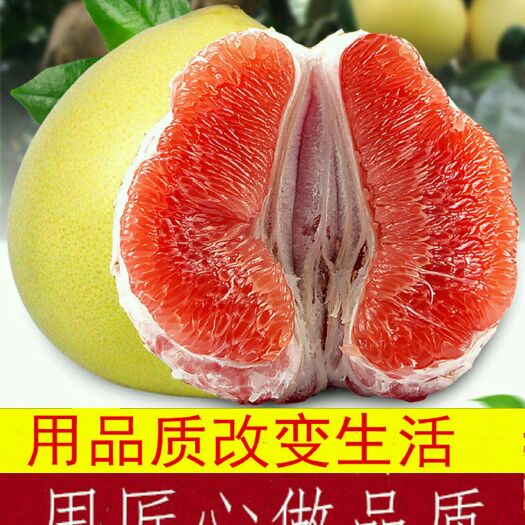 平和县琯溪蜜柚 平和琯溪红心蜜柚当季水果新鲜果园直达