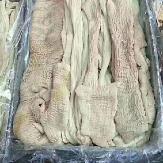 阳信县 牛大肠，无油无冰，需要的欢迎联系