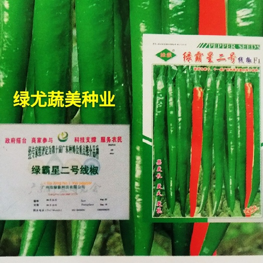 南靖县绿霸星二号浅绿色、绿霸星三号深绿色，青红两用，长座果集中多。