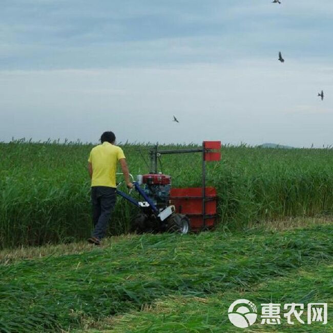 收割机配件 新型芦苇收割机 家用小型芝麻收割机 手扶式艾草收割机