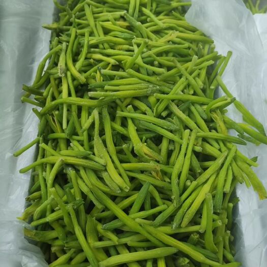 聊城淮阳黄花菜 诚信经营，保质保量