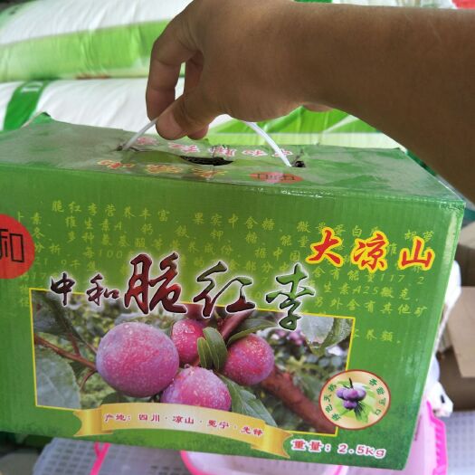 冕宁县无公害的青脆李子，味美.皮薄肉厚。产地直销，种植面广