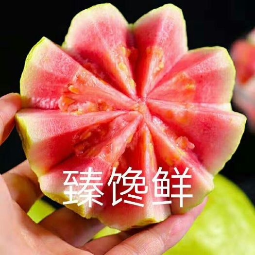 漳州 红心番石榴