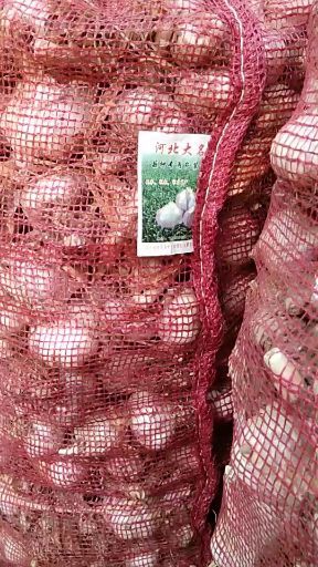 大名县二级脱水蒜米 混级统货 多瓣蒜