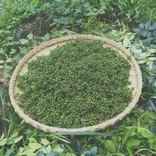 旺苍县 青花椒自己种的，每市斤8元