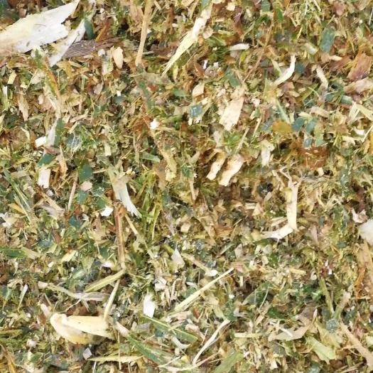 唐山青贮类饲料