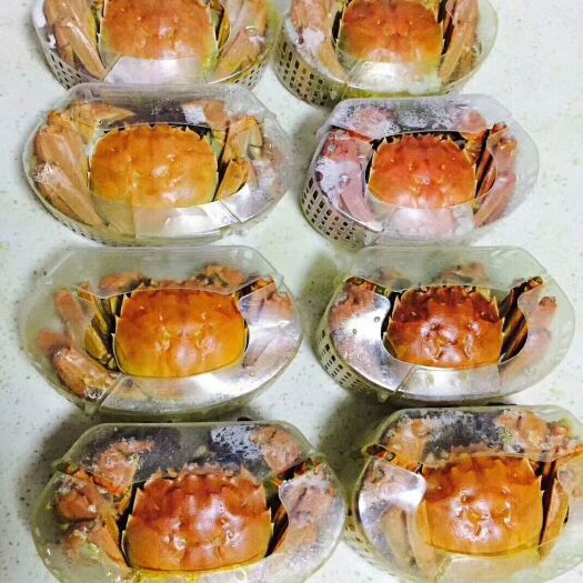 东营 黄河口大闸蟹