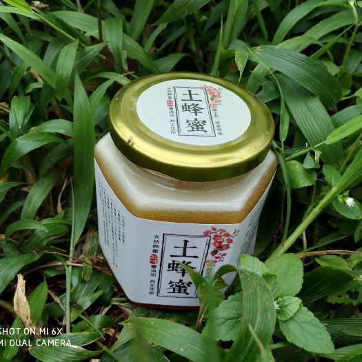 宜良县土蜂蜜中蜂蜜自产自销自己养殖一手货源