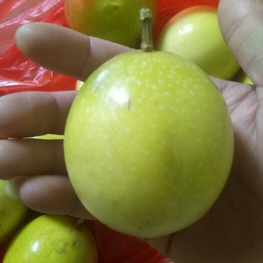 漳州 黄金百香果