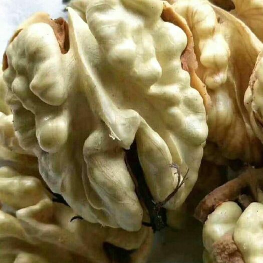 西安 青皮核桃湿核桃