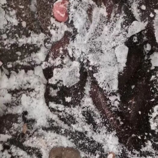 中牟县 干货羊毛肚价格