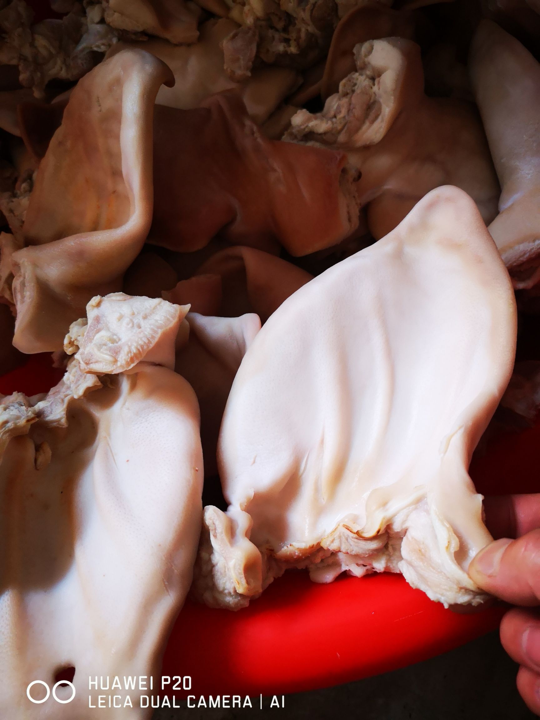 猪耳朵哪里有卖 - 猪耳朵货源 -猪耳朵图片\/价格