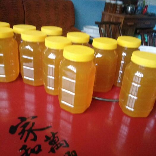 云阳 都是我爸自己养的土蜂蜜